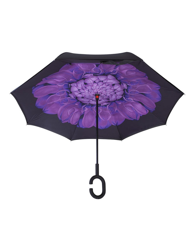 Belami by knirps reversible purple colour umbrella inside view