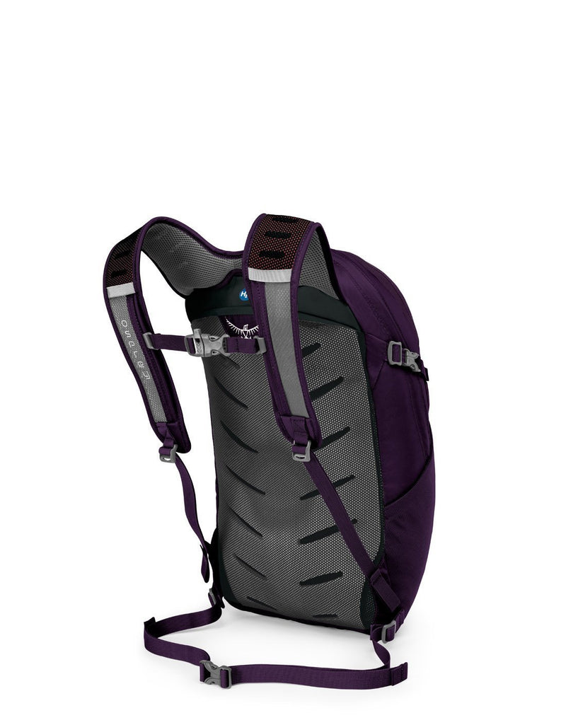 Osprey daylite plus amulet purple colour backpack back corner view