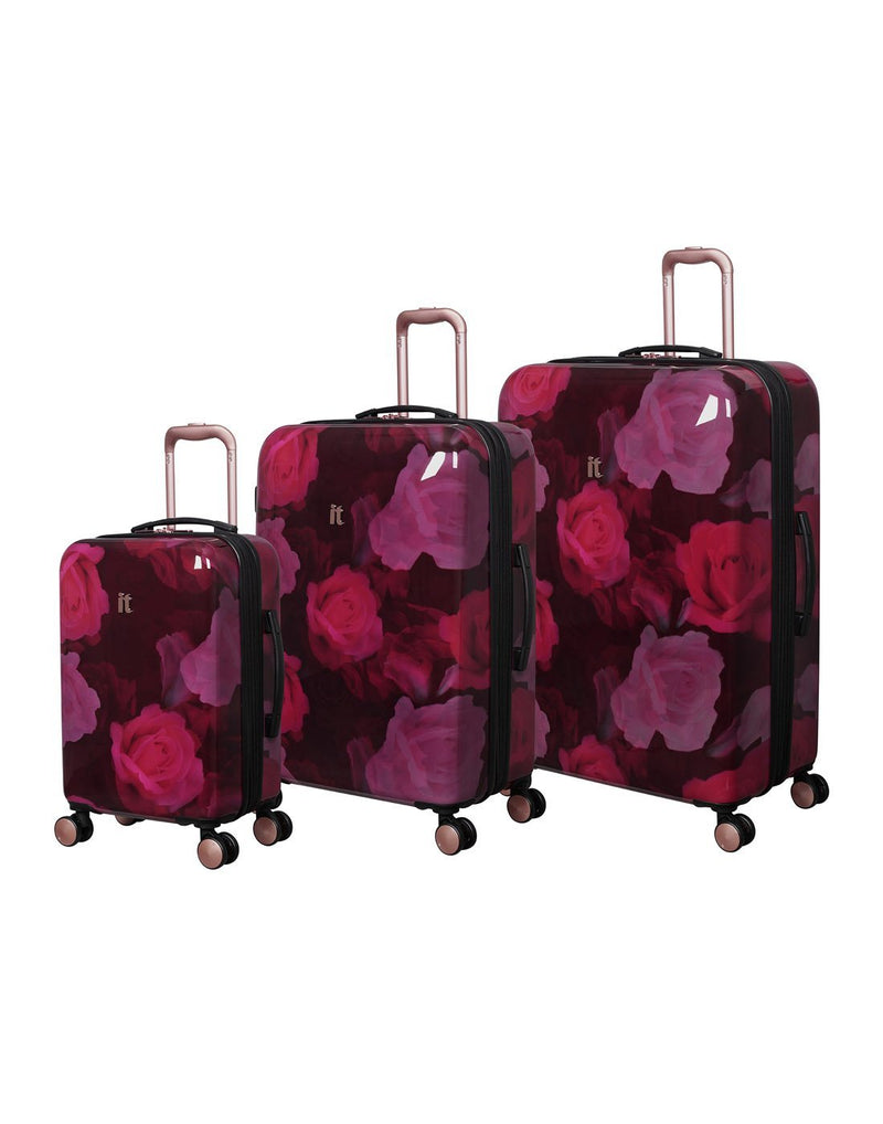 It sheen maxy rose 21.5" Spinner luggage bag group
