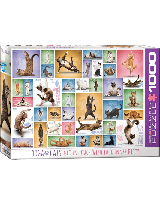 Product Image – Eurographics Yoga Cats Puzzle box front view