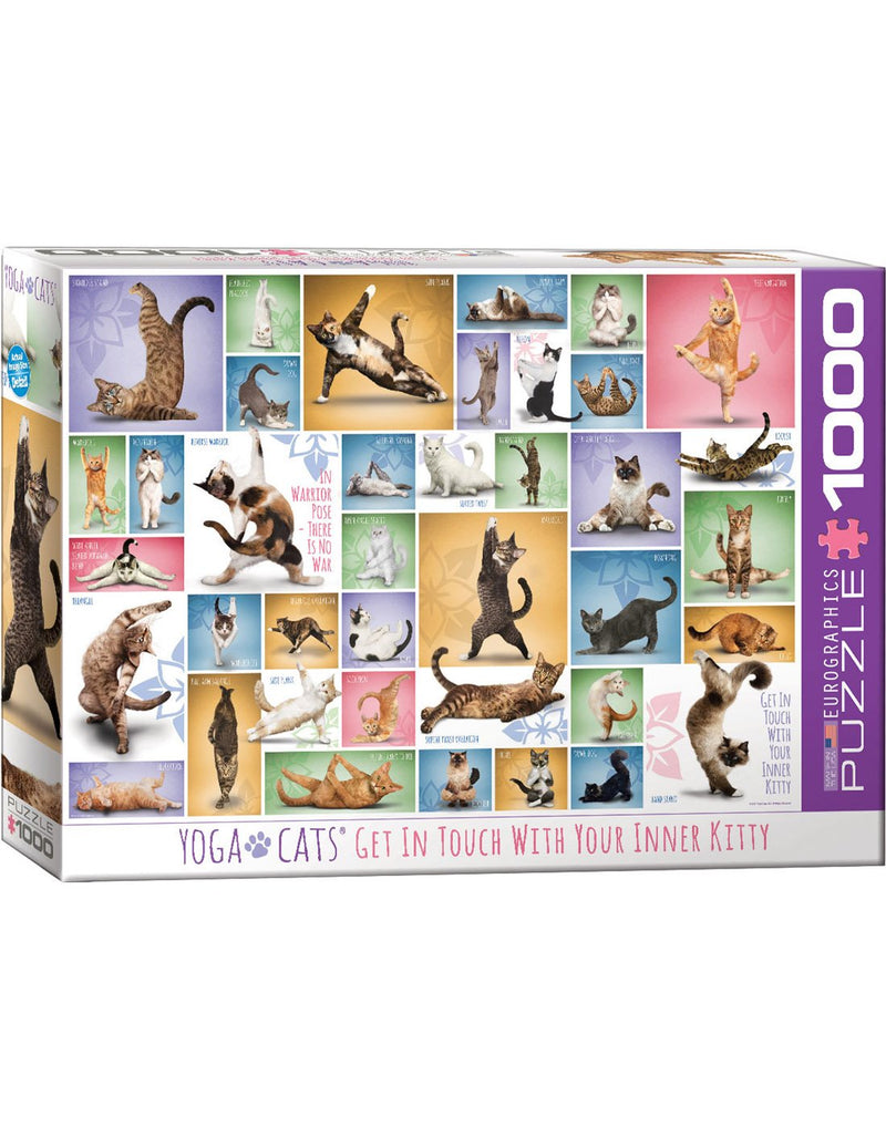 Eurographics Yoga Cats Puzzle box front view