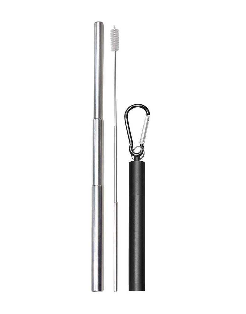 Austin house black colour telescopic metal straw front view with case 