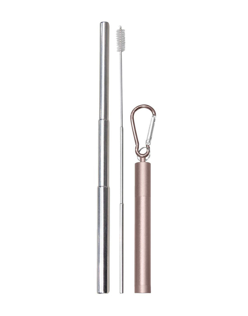 Austin house rose gold colour telescopic metal straw front view with case