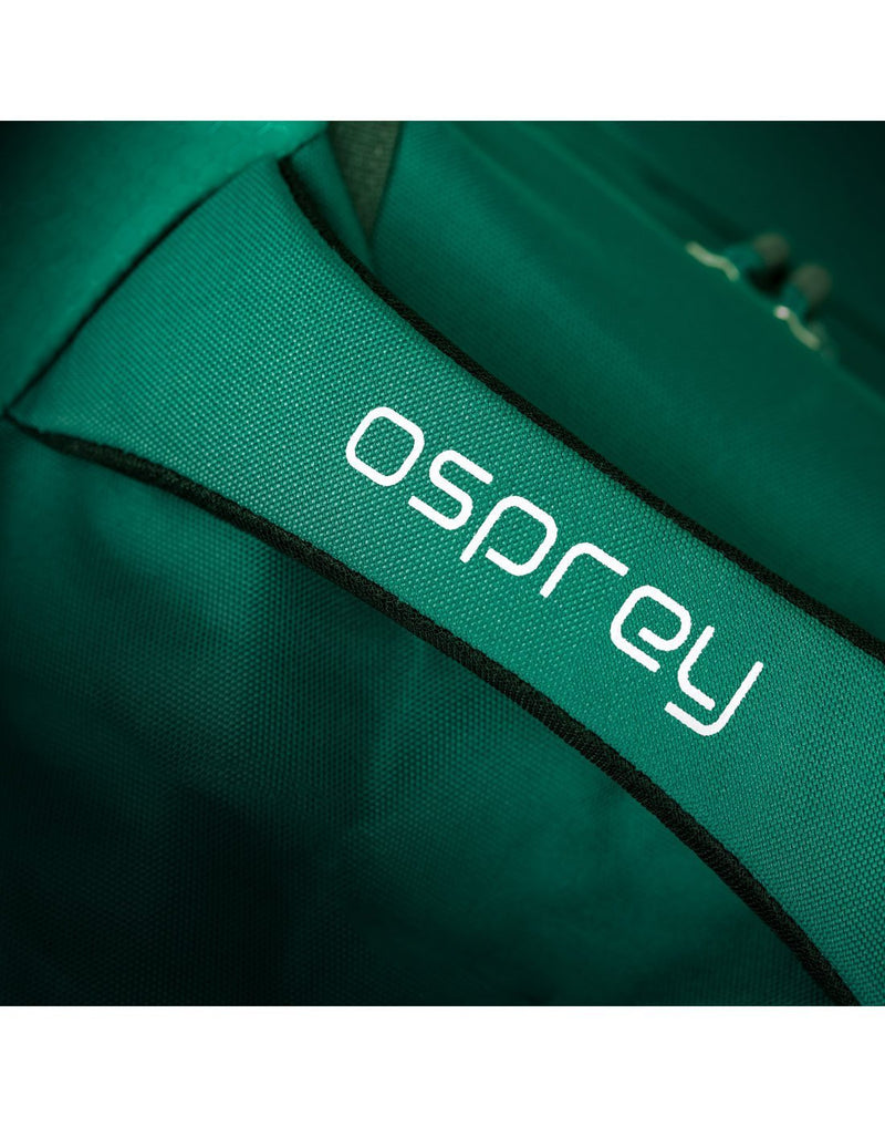 Osprey fairview 40 rainforest green colour women's backpack top grab handle