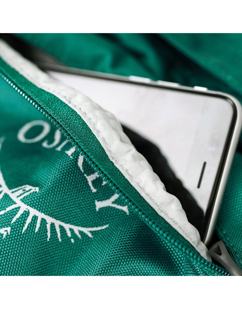 Osprey fairview 40 rainforest green colour women's backpack scratchfree electronics pocket