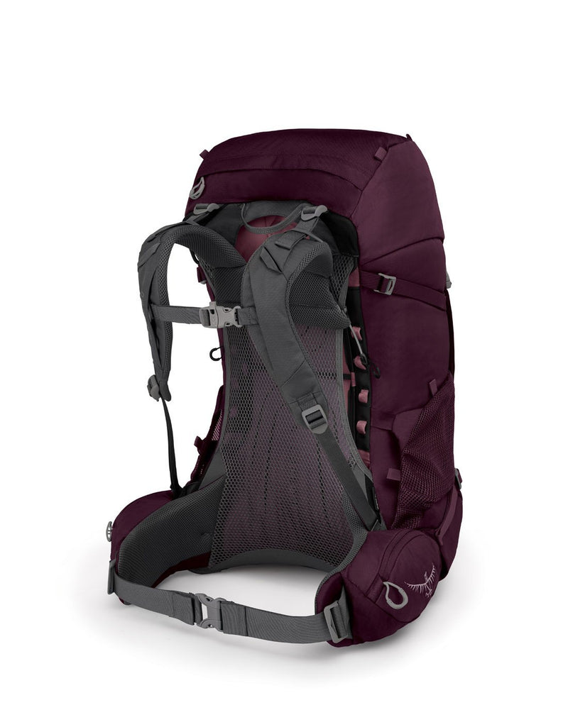 Osprey renn 50 women's aurora purple colour backpack front view back view