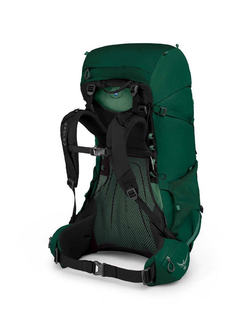 Osprey rook 65 men's mallard green backpack back view